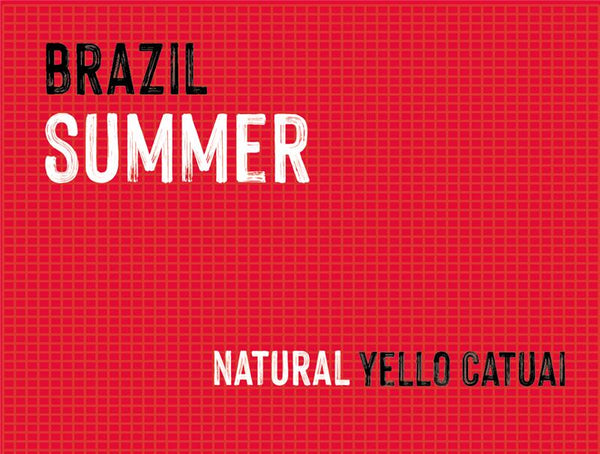 Jaguara Summer, Brazil | Natural MUK-7384
