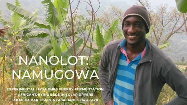 UGANDA - NANOLOT | NAMUGOWA | 140 Hour Cherry Fermentation