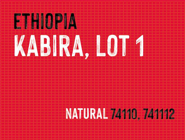 Kabira Lot 1, Mustefa Abakeno, Ethiopia | Natural MUK-7487