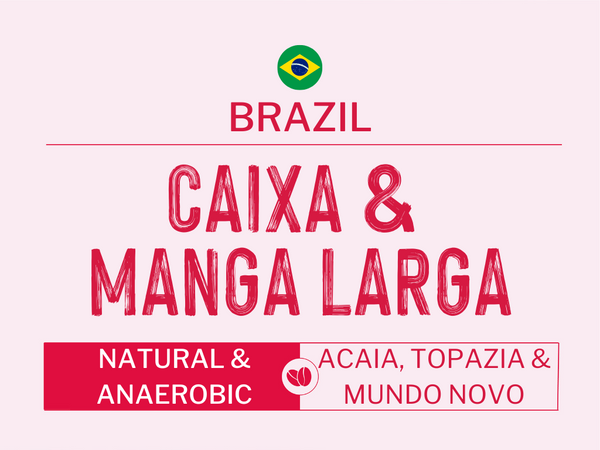 BRAZIL - CAIXA & MANGA LARGA | Natural & Anaerobic Natural