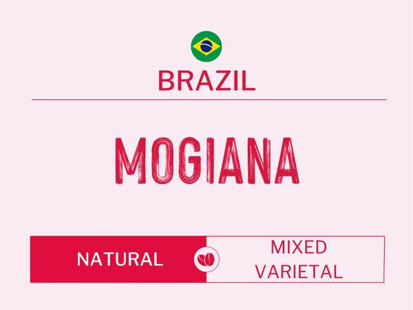 Mogiana, Brazil | Natural | Mixed Varietal