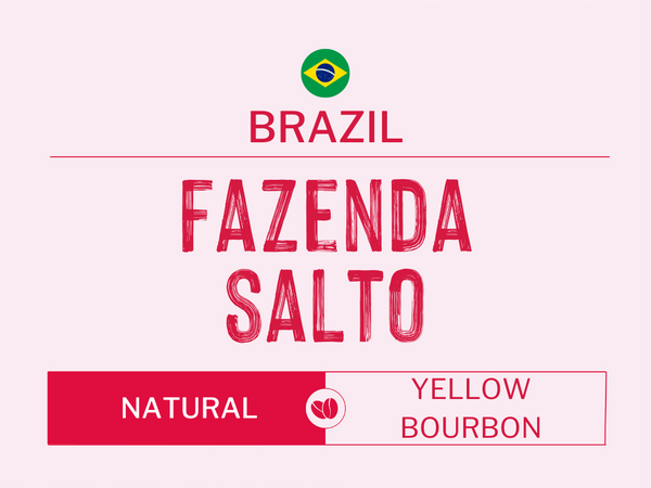 Brazil - Fazenda Salto | Natural | Yellow Bourbon