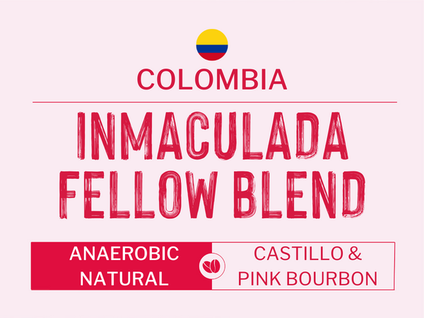 Colombia - Inmaculada Fellow | Anaerobic Natural | Castillo & Pink Bourbon