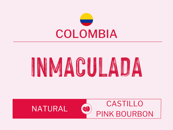 COLOMBIA - INMACULADA FELLOW FARMS | Natural