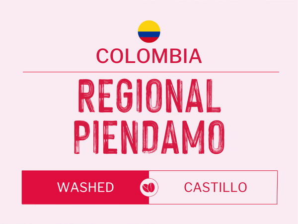 Colombia - Regional Peindamo | Washed | Castillo