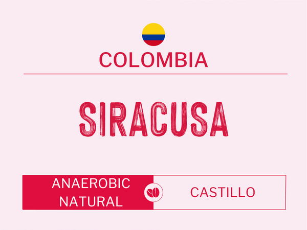 Colombia - Siracusa | Anaerobic Natural | Castillo