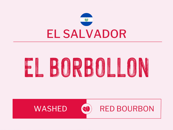 El Borbollon, El Salvador | Washed | Red Bourbon