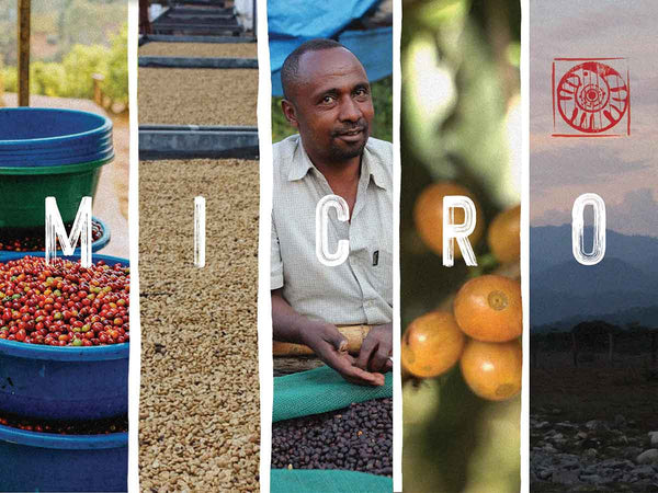WELCOME TO MICRO - 1KG SELECTION PACK | 5 x 1kg Box | Mixed Processing | Multi Origin