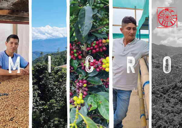 The Falcon Coffees Peru Box | Experience 5 Coffees from 2 Producers & the Jaen Region