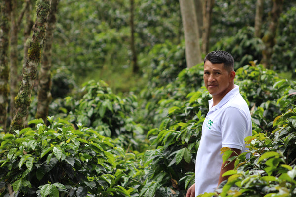 COLOMBIA - Robinson Rivera | Natural