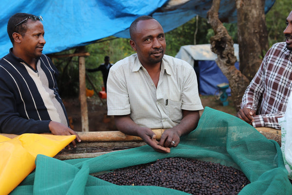 ETHIOPIA - MUSTEFA ABAKENO - Beshasha G2 | Washed