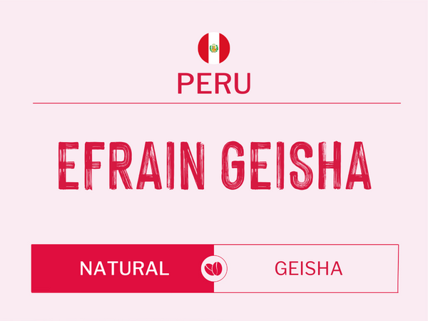 PERU - EFRAIN CARHUALLOCLLO | Natural Geisha