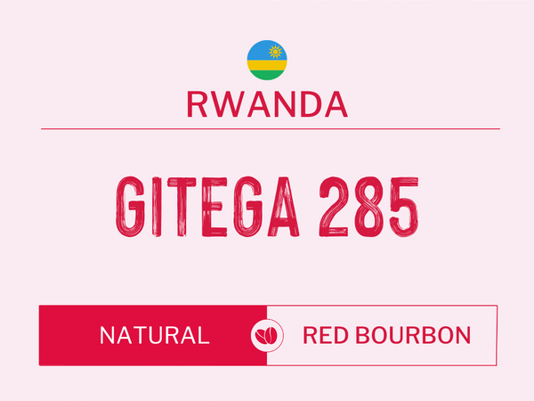 RWANDA - GITEGA 285 | Washed