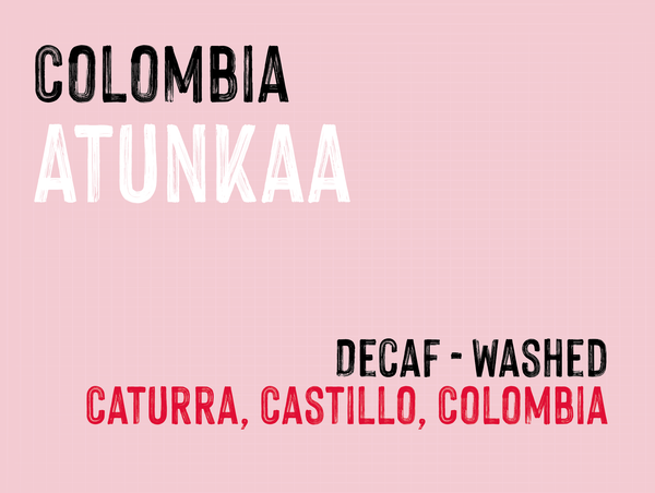 Atunkaa, Sugar Cane Decaf, Colombia | Decaf - Washed MUK-8029