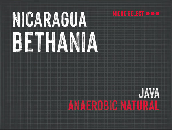 Bethania, Cafetos de Segovia, Nicaragua  | Anaerobic Natural MUK-7846