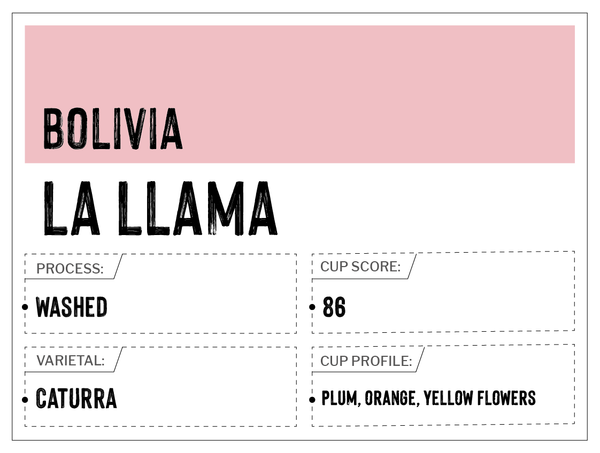 La Llama, Villa Rosario - Bolivia | Washed, Caturra| MUK-7289