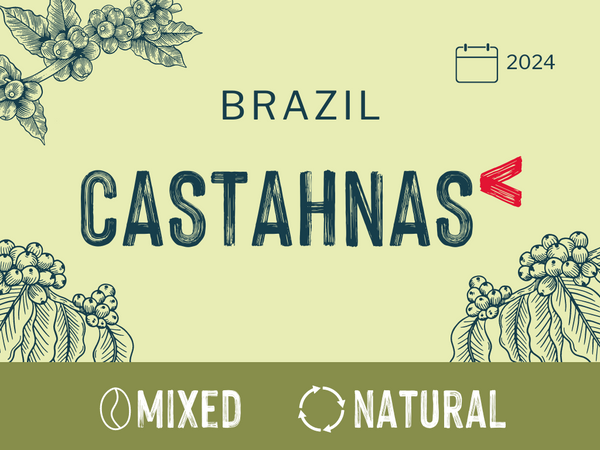 Castahnas Do Brazil, Brazil | Natural