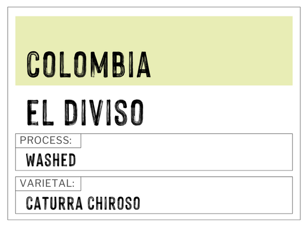 COLOMBIA - EL DIVISO | Washed