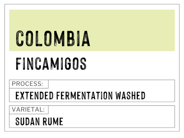 Colombia - Fincamigos | Extended Fermentation Washed | Sudan Rume