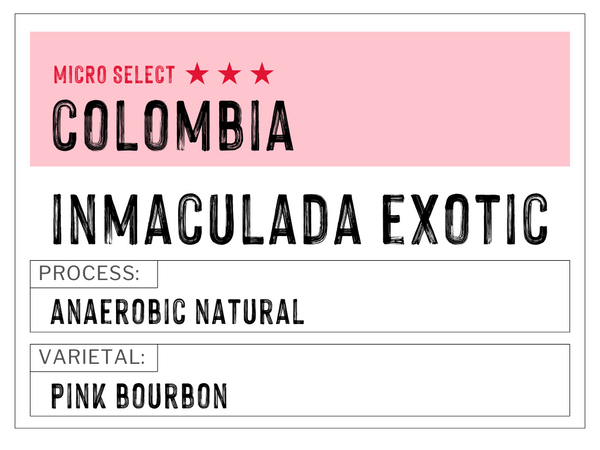 Colombia - Inmaculada Fellow Exotic | Anaerobic Natural | Pink Bourbon