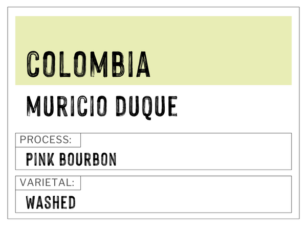 Colombia - Muricio Duque | Washed | Pink Bourbon