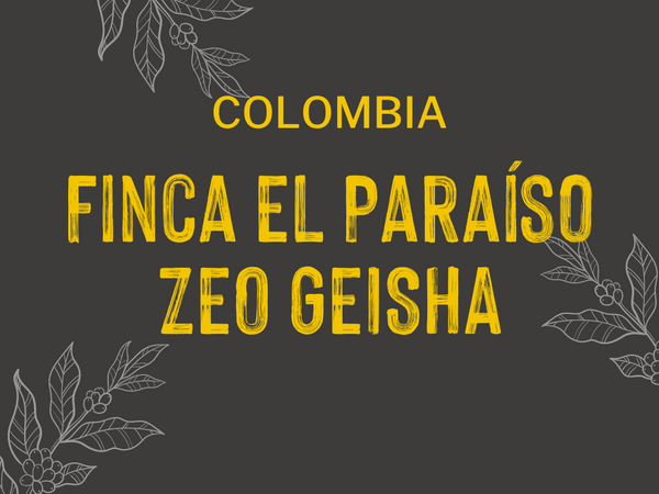 El Paraíso - Zeo Geisha, Colombia