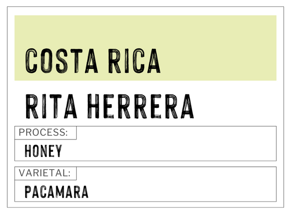 Costa Rica - Rita Herrera | Honey | Pacamara