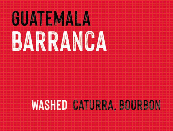 Barranca, Guatemala | Washed - MUK-6990