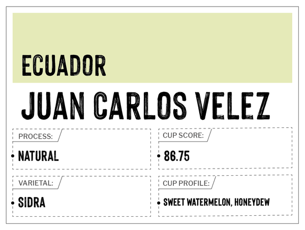 Juan Carlos Velez - Ecuador| Natural, Sidra | MUK-7424