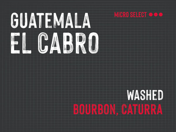 El Cabro, Vides Family, Guatemala |  Washed MUK-8066