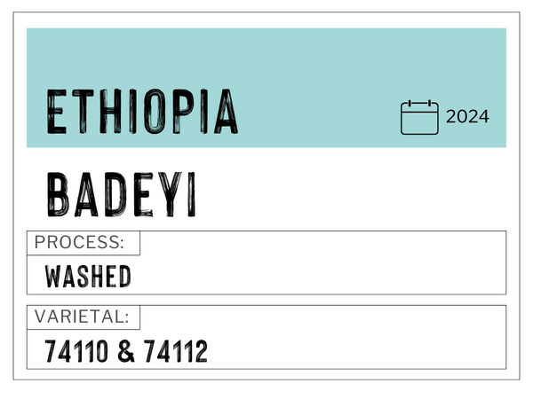G2 Badeyi, Ethiopia | Washed