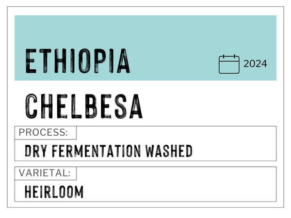 Chelbesa, Ethiopia | Dry Fermentation Washed