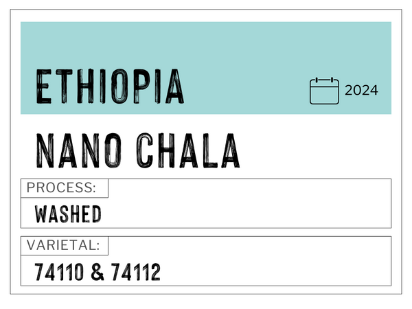 G1 Nano Chala, Ethiopia | Washed
