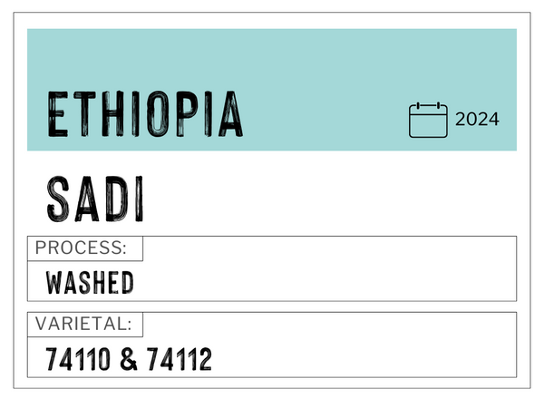 G2 Sadi, Ethiopia | Washed