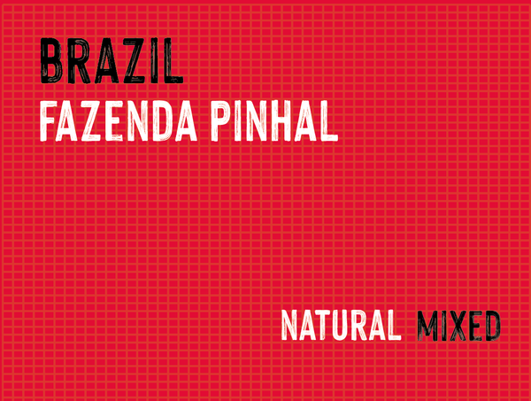 Fazenda Pinhal, Gabarra Teixeria Family, Brazil | Natural MUK-7281