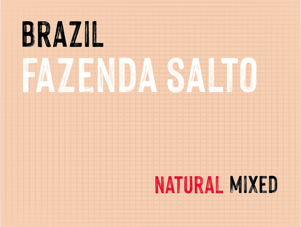 Fazenda Salto, Brazil | Natural- MMY-0113