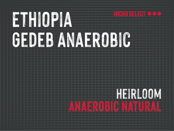Gedeb Anaerobic, Ephtah, Yirgacheffe, Ethiopia | Anaerobic Natural MUK-7540