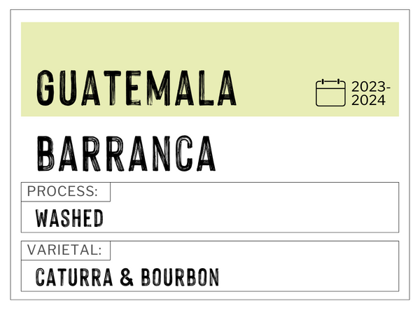 Barranca, Guatemala | Washed