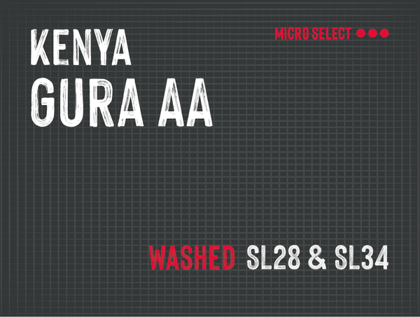 Gura AA, Nyeri County, Kenya |  Washed MUK-7825