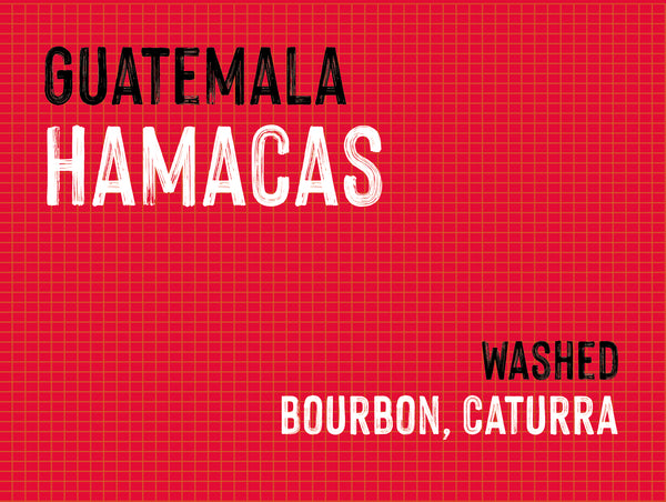 Hamacas, Vides Family, Guatemala |  Washed MUK-8068
