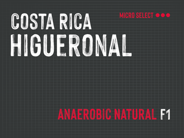 Higueronal, Solis & Cordero, Costa Rica | Anaerobic Natural MUK-7928