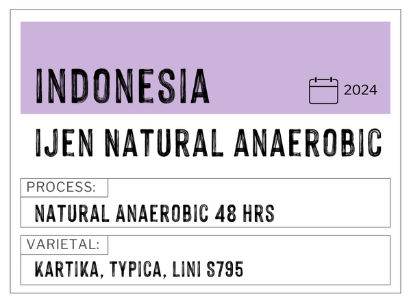 Ijen, Indonesia | Natural Anaerobic