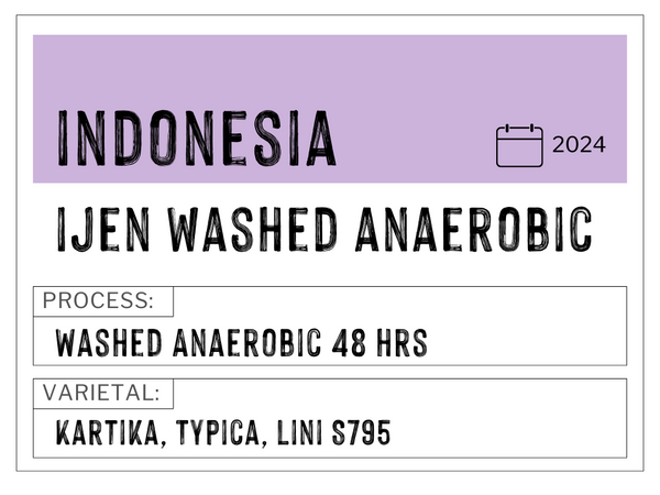Ijen, Indonesia | Washed Anaerobic
