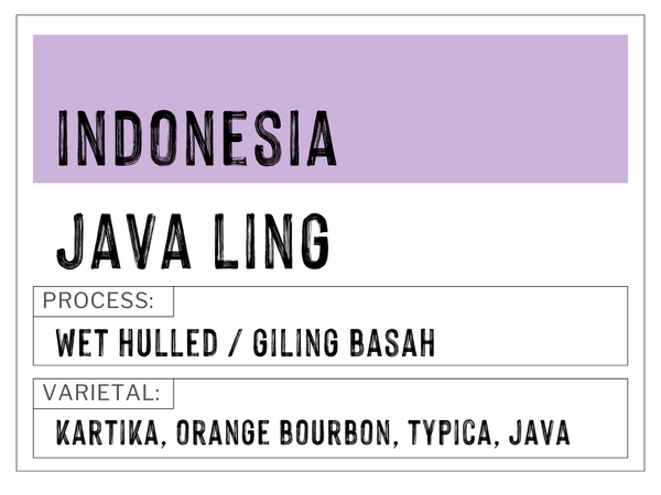 Indonesia - Java-Ling | Wet Hulled | Kartika, Orange Bourbon, Typica, Java