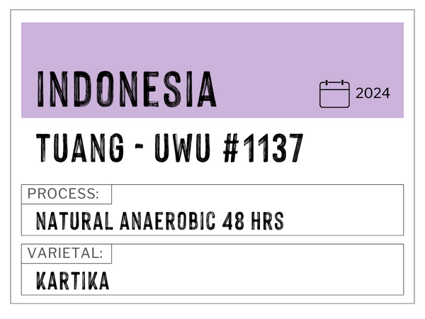 Tuang Coffee Uwu #1137, Indonesia | Natural Anaerobic
