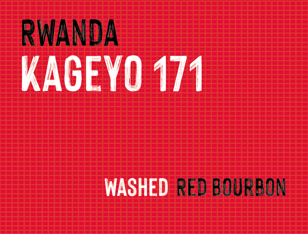 Kageyo 171, Lake Kivu, Rwanda | Washed MUK-7185