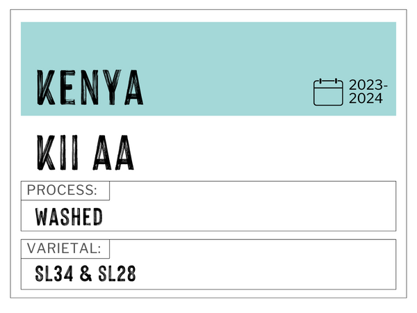 Kii AA, Kenya | Washed
