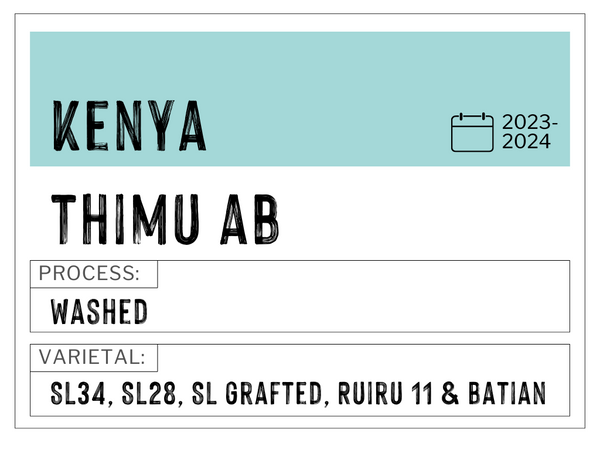 Thimu AB, Kenya | Washed