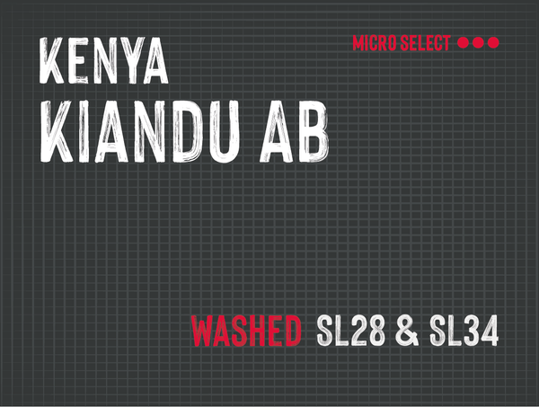 Kiandu AB, Nyeri County, Kenya |  Washed MUK-7823