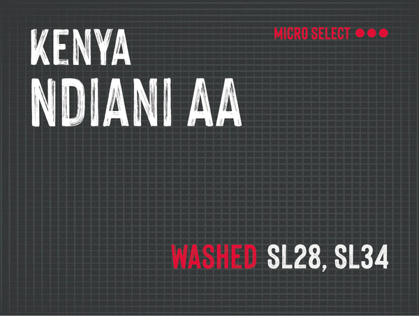 Ndiani AA, Nyeri County, Kenya | Washed MUK-7821